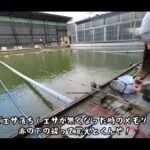 【画像】釣具屋店主は教え上手！　初心者女子の「ヘラブナ床釣り」成功の秘訣はウキ選びと底取り術 〜 画像1