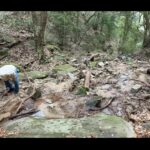 【画像】地元なのに未踏の地「巨石パーク」には何が？　軽装で行ったらガチ登山の末に神秘の世界が 〜 画像1