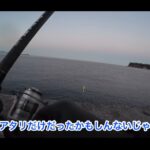 【画像】鶏ささみで47cmの大物含むヤリイカ3杯同時上げ！　ひと晩100杯の噂に「嫁無双」の夜釣り 〜 画像1