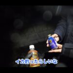 【画像】鶏ささみで47cmの大物含むヤリイカ3杯同時上げ！　ひと晩100杯の噂に「嫁無双」の夜釣り 〜 画像1