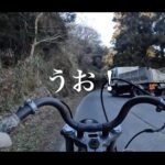 【画像】愛車ハーレーで思い出の長瀬公園へ！　休日プチキャンプで味わう外のカップ麺が最高に美味い 〜 画像1