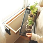 【画像】水やりと日照問題を解決！　わずか35cm四方で珍奇植物を魅せて育てる専用スタンド誕生 〜 画像1