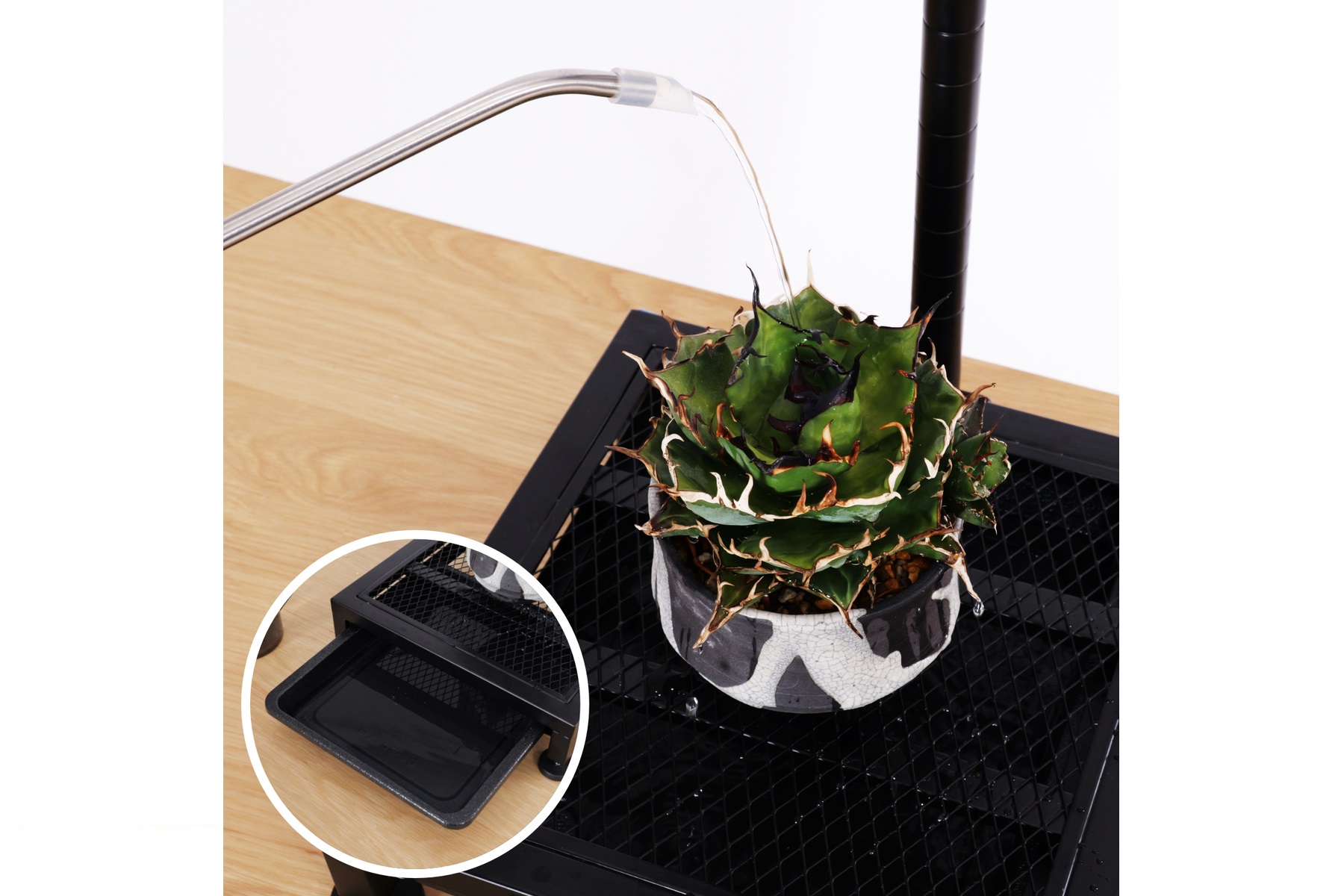 植物育成ライトスタンド・ソロ LPA-P250のメッシュ台座は耐荷重10㎏で水受けトレーも装備