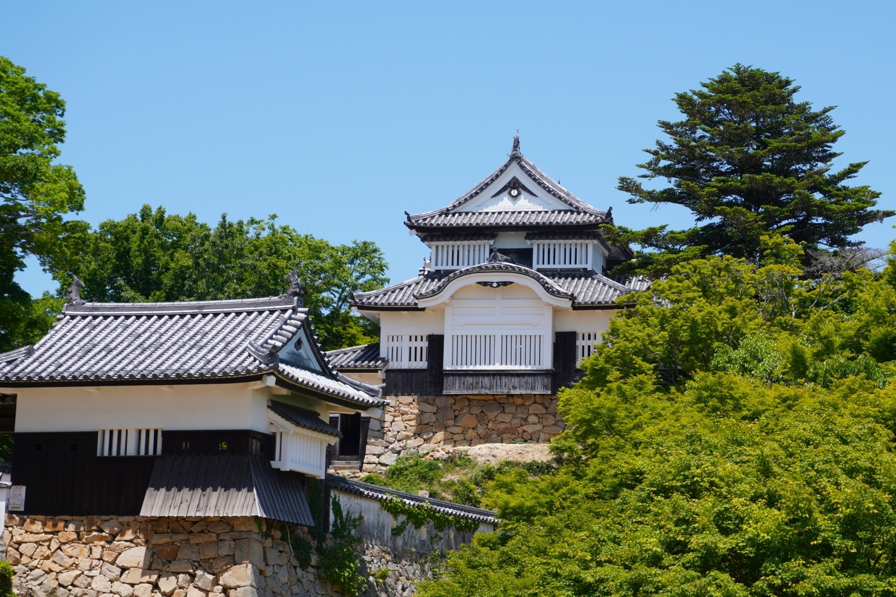 三名城だけじゃない！　山深き天空の城から高低差390mの要塞まで難攻不落の三大山城の魅力