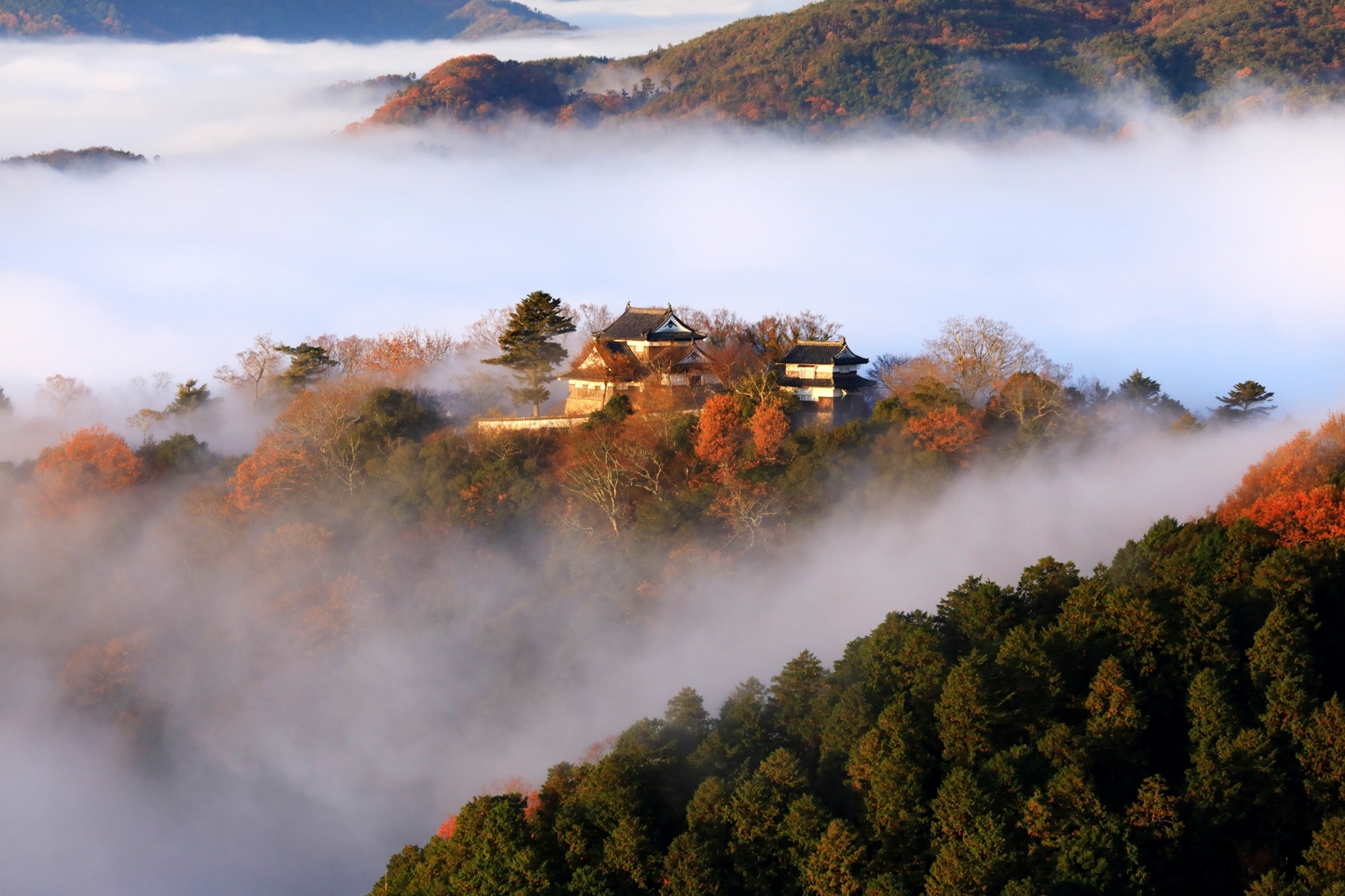 雲海に浮かぶ備中松山城
