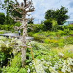 【画像】バラだけじゃない「あやせローズガーデン」！　花好き必訪の11テーマ庭園を歩く 〜 画像1