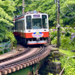 【画像】鮮やかな「花のトンネルへ」！　標高差445mを登る「箱根あじさい電車」撮影の特等席と老舗の熱々餃子 〜 画像1