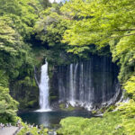 【画像】水温12度の絶景へ！　毎秒1.5トンの湧水で涼む「白糸の滝」癒やし散策と「滝上コーヒー」 〜 画像1
