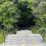 【画像】水温12度の絶景へ！　毎秒1.5トンの湧水で涼む「白糸の滝」癒やし散策と「滝上コーヒー」 〜 画像1