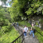 【画像】水温12度の絶景へ！　毎秒1.5トンの湧水で涼む「白糸の滝」癒やし散策と「滝上コーヒー」 〜 画像1
