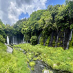 【画像】水温12度の絶景へ！　毎秒1.5トンの湧水で涼む「白糸の滝」癒やし散策と「滝上コーヒー」 〜 画像1