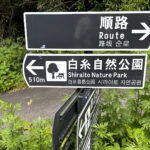 【画像】水温12度の絶景へ！　毎秒1.5トンの湧水で涼む「白糸の滝」癒やし散策と「滝上コーヒー」 〜 画像1