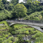 【画像】水温12度の絶景へ！　毎秒1.5トンの湧水で涼む「白糸の滝」癒やし散策と「滝上コーヒー」 〜 画像1