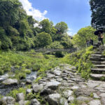 【画像】水温12度の絶景へ！　毎秒1.5トンの湧水で涼む「白糸の滝」癒やし散策と「滝上コーヒー」 〜 画像1