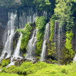 【画像】水温12度の絶景へ！　毎秒1.5トンの湧水で涼む「白糸の滝」癒やし散策と「滝上コーヒー」 〜 画像1