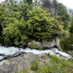 【画像】水温12度の絶景へ！　毎秒1.5トンの湧水で涼む「白糸の滝」癒やし散策と「滝上コーヒー」 〜 画像1