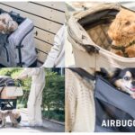 【画像】猛暑からペットを救う！　カート内の温度や湿度を「AI自動制御」で真夏のお出かけリスクを低減 〜 画像1