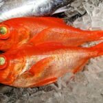 【画像】港にはウマい飯！　銚子・釧路・焼津「日本三大漁港」で獲れる魚と名物料理を知って旅に出よう 〜 画像1