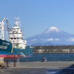 【画像】港にはウマい飯！　銚子・釧路・焼津「日本三大漁港」で獲れる魚と名物料理を知って旅に出よう 〜 画像1