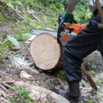 【画像】プライベートキャンプの究極形は「山を買うこと」探し方やメリット維持管理の注意点 〜 画像1