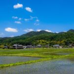 【画像】プライベートキャンプの究極形は「山を買うこと」探し方やメリット維持管理の注意点 〜 画像1