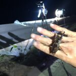 【画像】小学生以下が無料になる絶景グランピング！ 星空が美しい尾瀬をお得に楽しむチャンス 〜 画像1