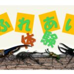 【画像】さいたま新都心で世界のカブクワとふれあう！　夏休みの自由研究にも最適な昆虫イベント 〜 画像1