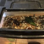 【画像】子どもの趣味と思いきや大人もハマる「虫活」とは？　昆虫観察の魅力と四季ごとの楽しみ方 〜 画像1