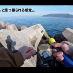 【画像】釣れなくても満足！　自作の車中泊仕様「マツダ・ボンゴ」で行く千葉・穴釣りおんな一人旅 〜 画像1
