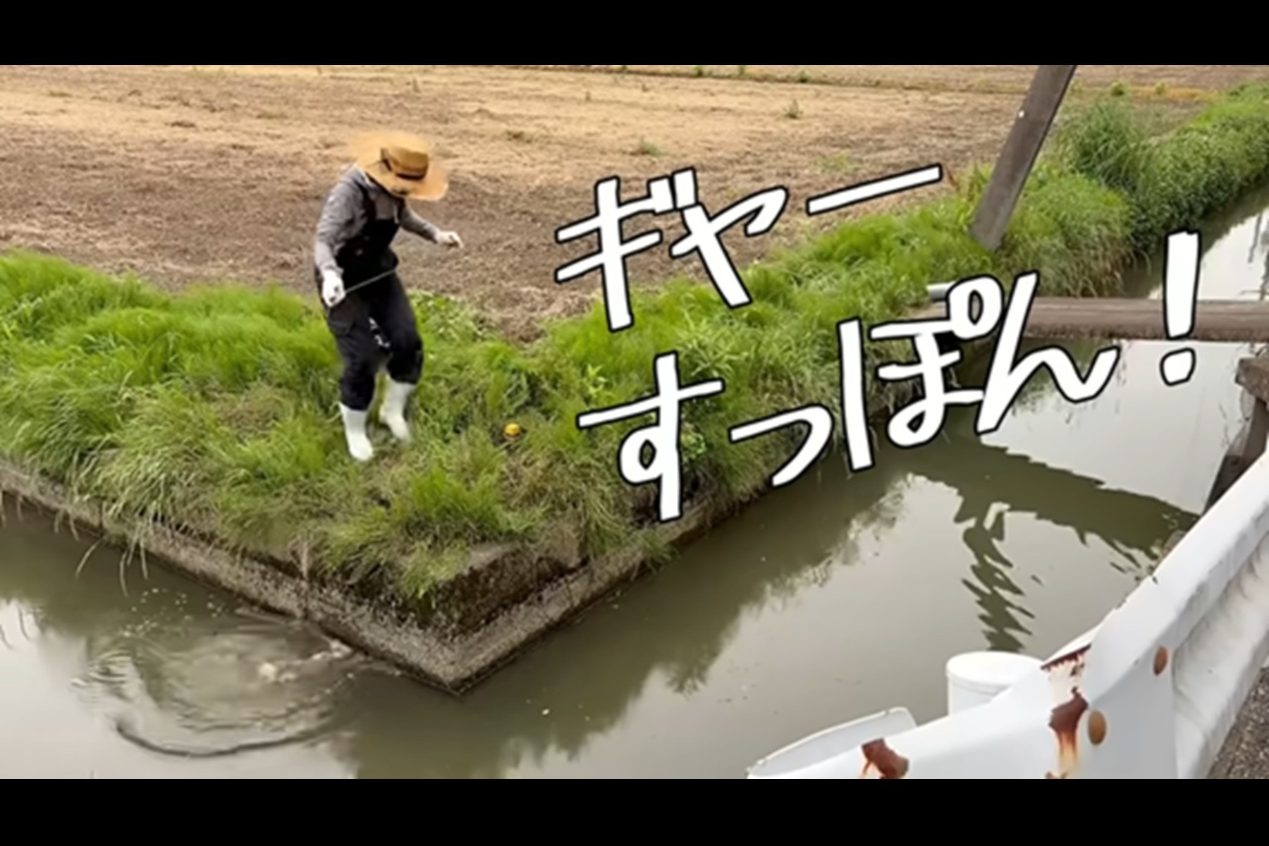 ウナギを狙うもまさかのスッポンが釣れて大慌てのゆみゴンさん