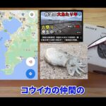 【画像】当たり年の噂は本当か？　東京湾で「シリヤケイカ」にオリジナル置き竿仕掛けで検証 〜 画像1