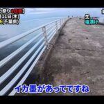 【画像】当たり年の噂は本当か？　東京湾で「シリヤケイカ」にオリジナル置き竿仕掛けで検証 〜 画像1
