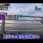 【画像】当たり年の噂は本当か？　東京湾で「シリヤケイカ」にオリジナル置き竿仕掛けで検証 〜 画像1