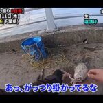 【画像】当たり年の噂は本当か？　東京湾で「シリヤケイカ」にオリジナル置き竿仕掛けで検証 〜 画像1