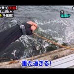 【画像】当たり年の噂は本当か？　東京湾で「シリヤケイカ」にオリジナル置き竿仕掛けで検証 〜 画像1