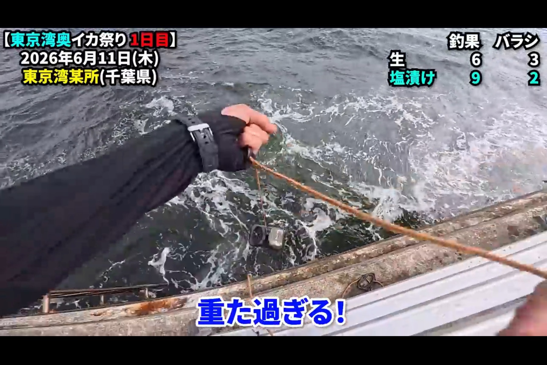 クーラーボックスが満杯になるほどの爆釣となったシリヤケイカ釣り