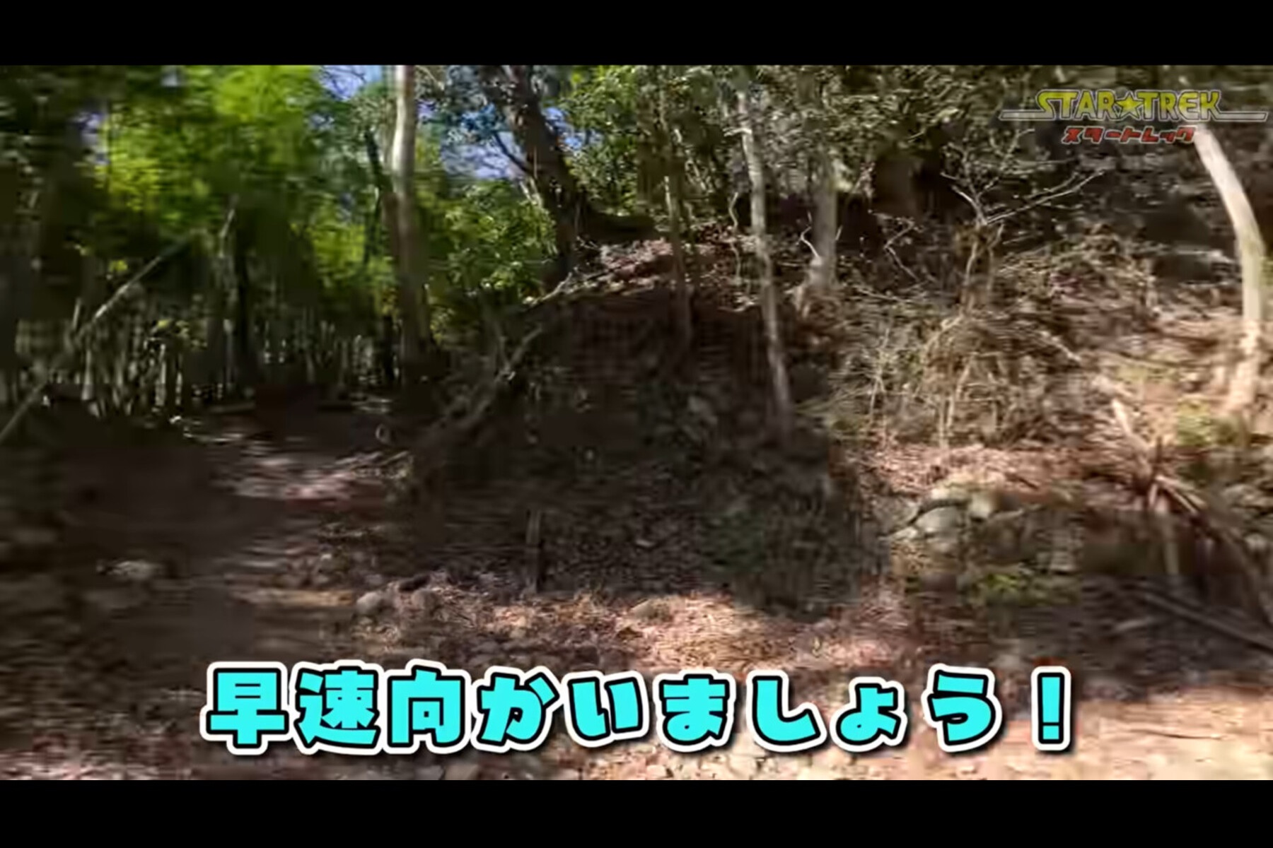 伊豆・城山の登山道入り口