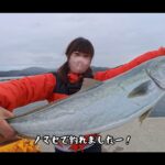 【画像】初心者が手のひら超えの「巨大アジ」を捕獲！　しかし愛南町のアジングでまさかのハマチ乱入劇 〜 画像1