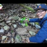 【画像】禁漁期間に入る前にもう一度行きたい！　「釣りよか流」の渓流釣りでヤマメの魅力を再発見 〜 画像1