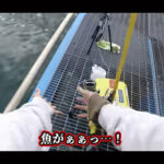 【画像】釣れたそばから海へ真っ逆さま！　金網の足場で悲鳴連発も「シート対策」で叶えるキス爆釣 〜 画像1