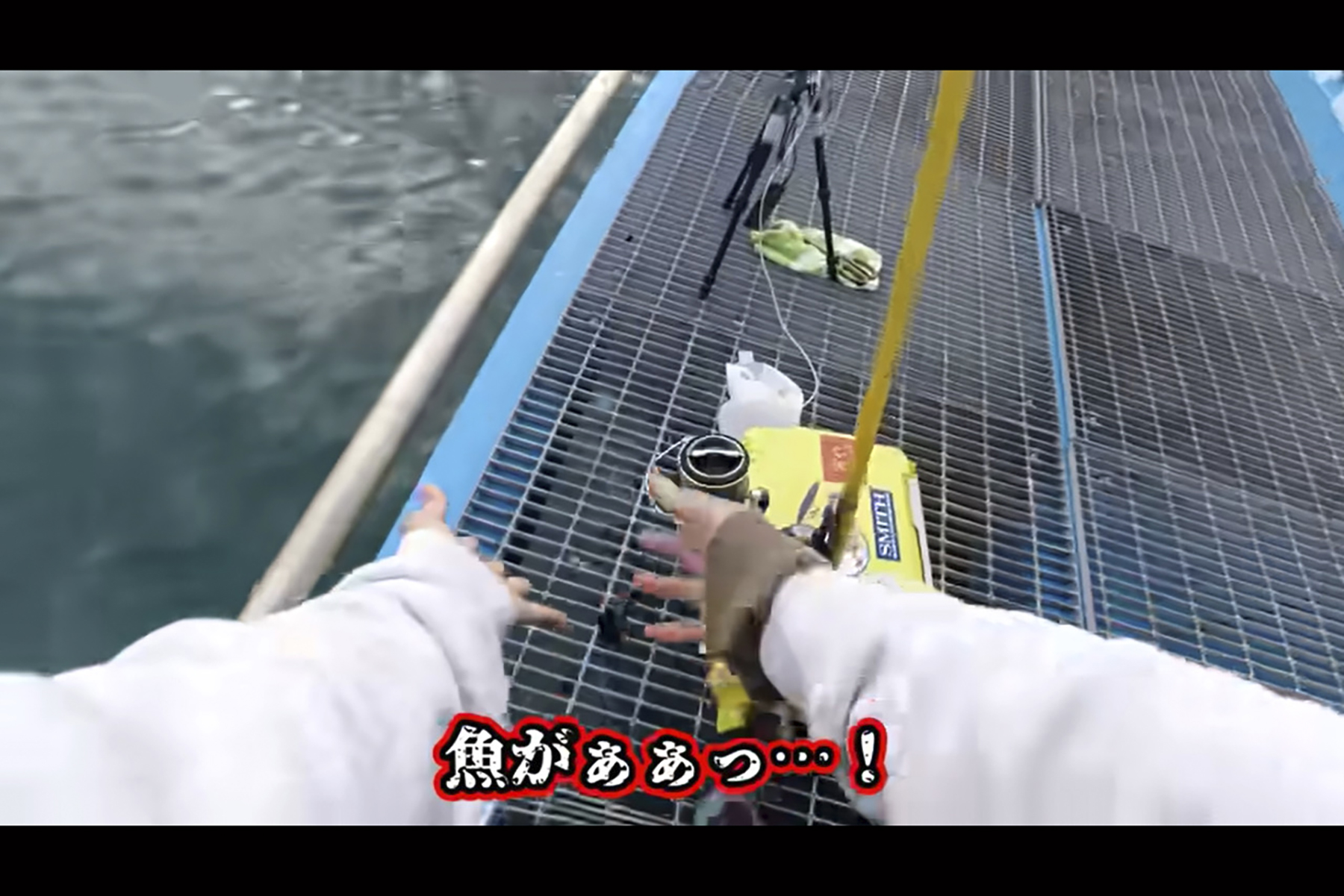 釣り場の金網状フロアに魚を落としてロストしたところ