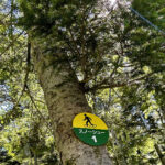 【画像】日光白根山はロープウェイで登れる百名山。山頂の絶景を満喫し昭和5年創業の温泉で汗を流す 〜 画像1