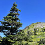 【画像】日光白根山はロープウェイで登れる百名山。山頂の絶景を満喫し昭和5年創業の温泉で汗を流す 〜 画像1
