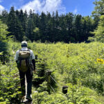 【画像】日光白根山はロープウェイで登れる百名山。山頂の絶景を満喫し昭和5年創業の温泉で汗を流す 〜 画像1