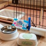 【画像】愛犬家に嬉しいフロアと同室部屋食＆宿泊が魅力　温泉リゾート「亀の井ホテル知多美浜」 〜 画像1
