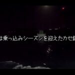 【画像】和歌山・串本町名物「カセ釣り」あんこうアワーズがアジ入れ食いから魅せた執念の真鯛釣り 〜 画像1