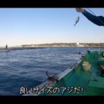 【画像】和歌山・串本町名物「カセ釣り」あんこうアワーズがアジ入れ食いから魅せた執念の真鯛釣り 〜 画像1
