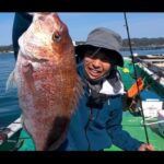 【画像】和歌山・串本町名物「カセ釣り」あんこうアワーズがアジ入れ食いから魅せた執念の真鯛釣り 〜 画像1