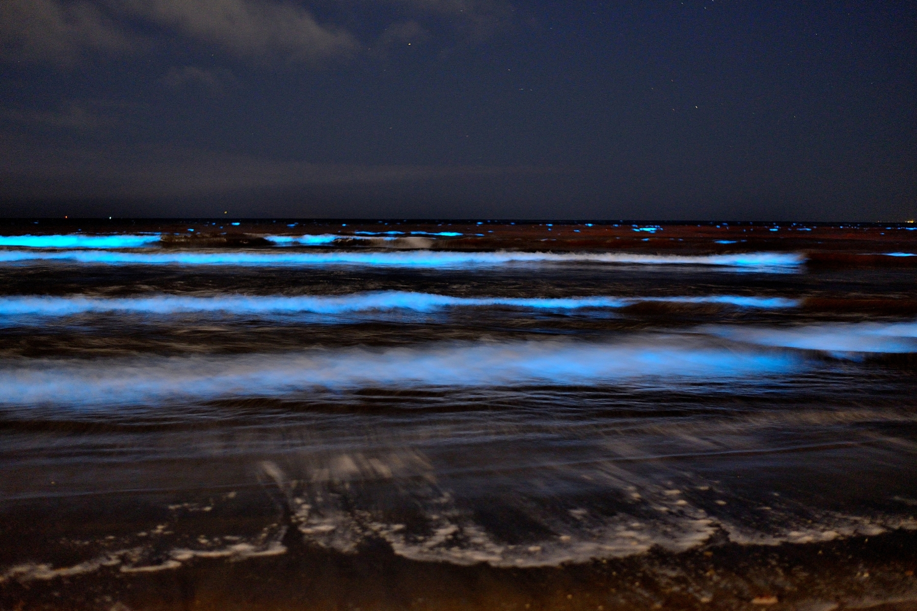 海岸に押し寄せる波が光る現象「夜光虫」の発生