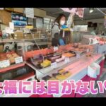 【画像】「ホラ吹き野郎！」大山でヒルクライムのサイクル女子が父に悪態も阿夫利神社の絶景でご満悦 〜 画像1